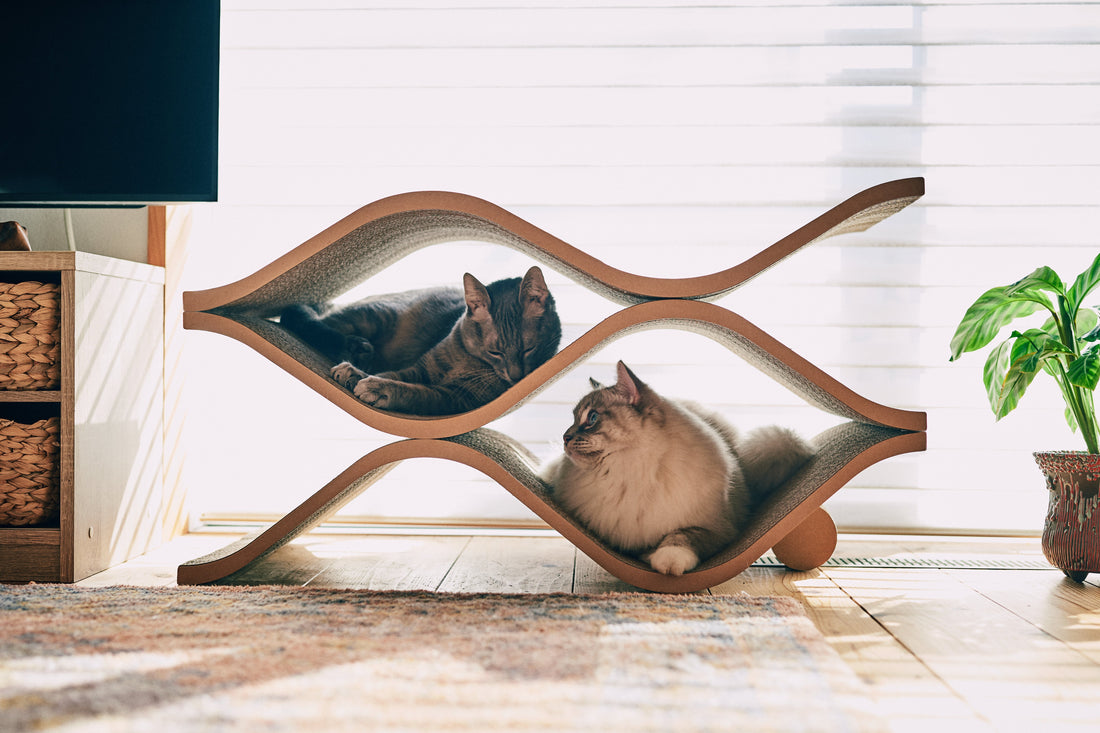 猫の家具に"隠れられる場所"が必要な理由