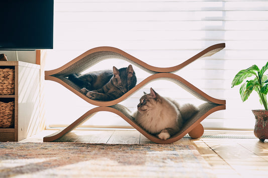 猫の家具に"隠れられる場所"が必要な理由