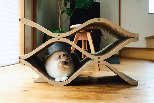 3,083世帯の調査が示した 猫の暮らしを本当に豊かにするもの