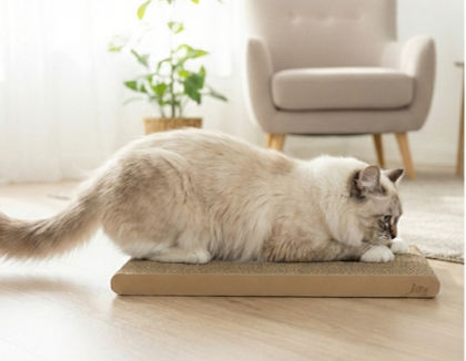 爪とぎの買い替え頻度は？？アンケートで猫好きさんに聞いてみた！