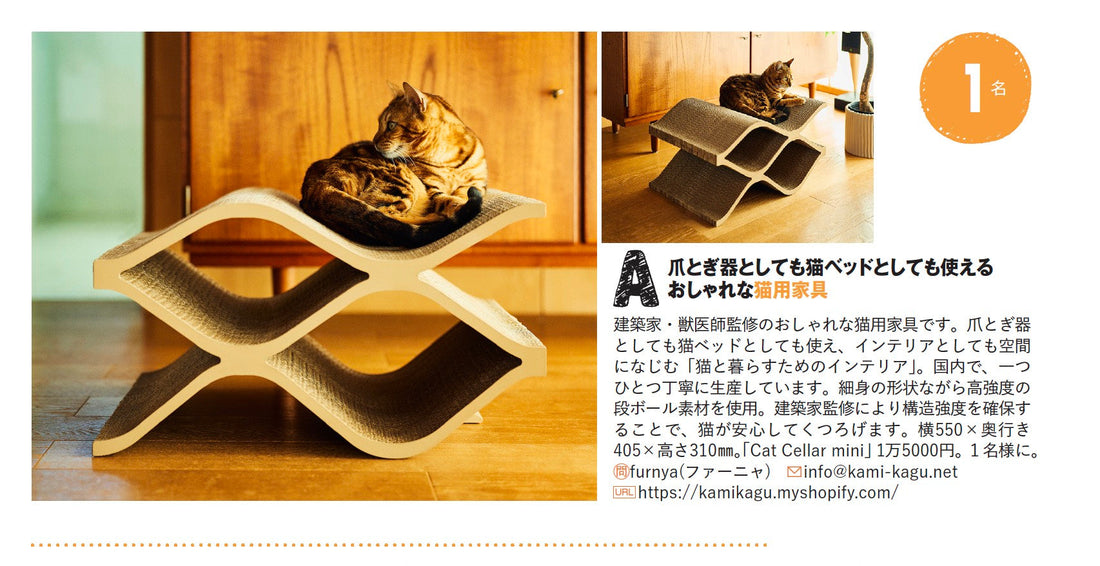 「ねこのきもち」にCat Cellar miniをプレゼント