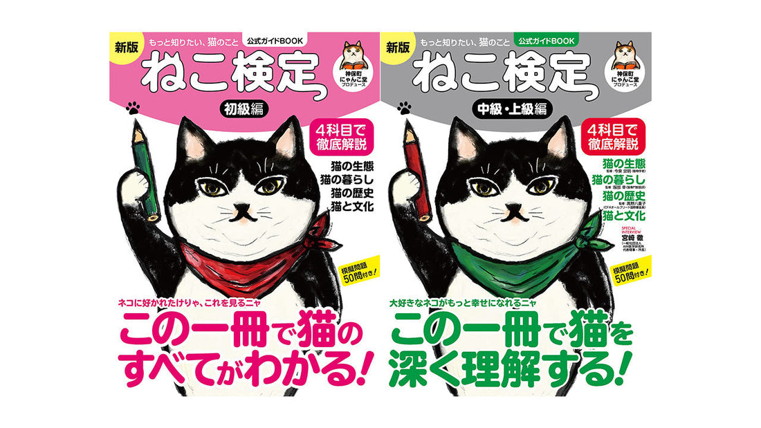 猫の動きは"4種類"。短く動いてすぐ休む身体と家具。
