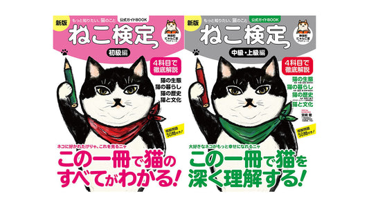 猫の動きは"4種類"。短く動いてすぐ休む身体と家具。