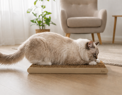Cat Plate（キャットプレート）