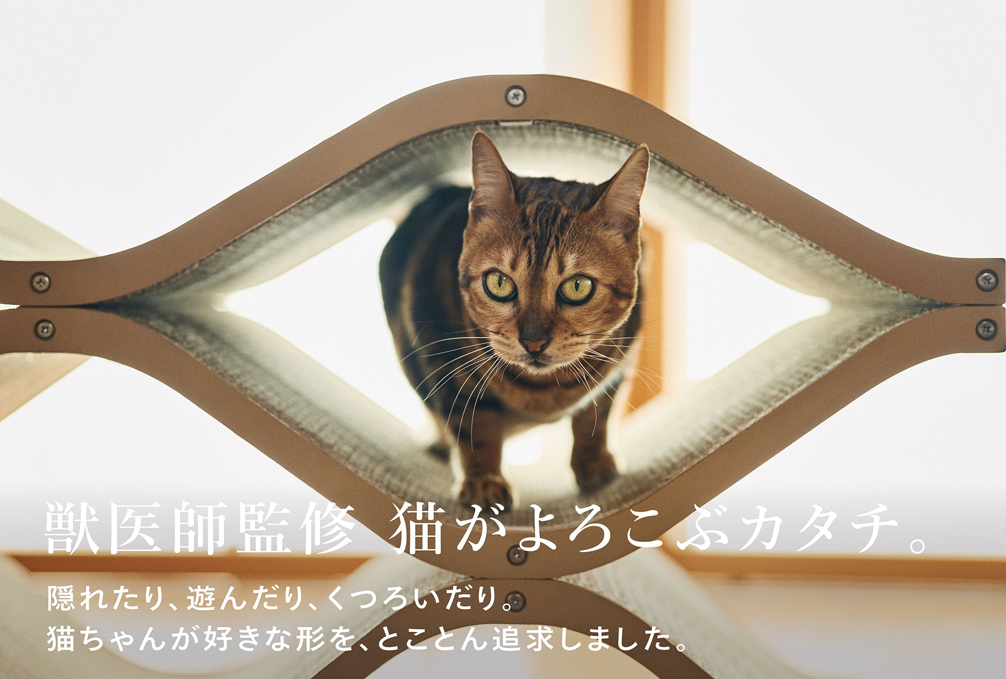 description of Cat Cellar — Developed under the supervision of a veterinarian. A shape cats love. Hide, play, and relax. We’ve gone to great lengths to create the perfect shape for cats.