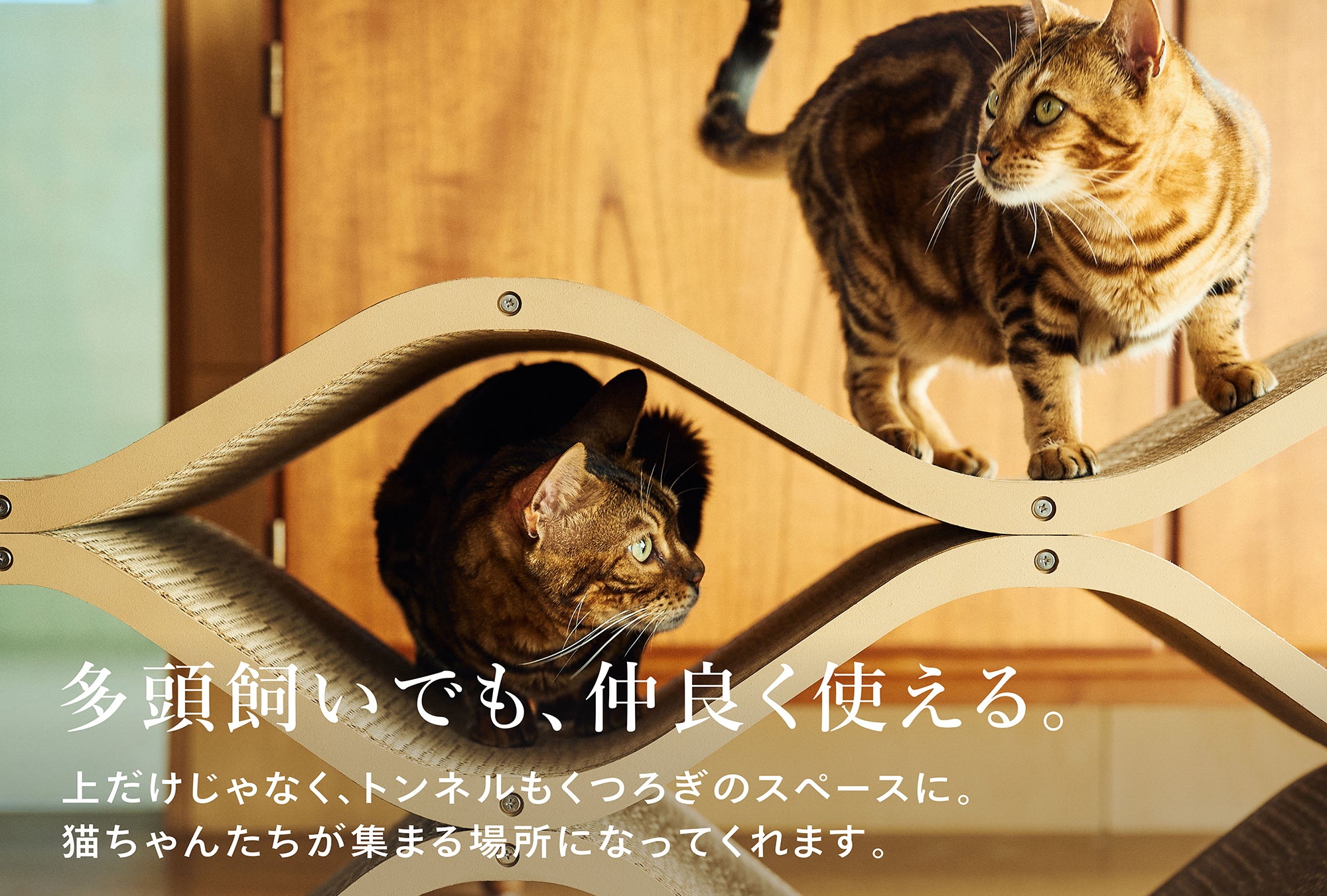 description of Cat Cellar — Perfect for multi-cat households and built for durability.
Not just the top—the tunnel also serves as a cozy spot. It’ll become a favorite gathering place for your cats.