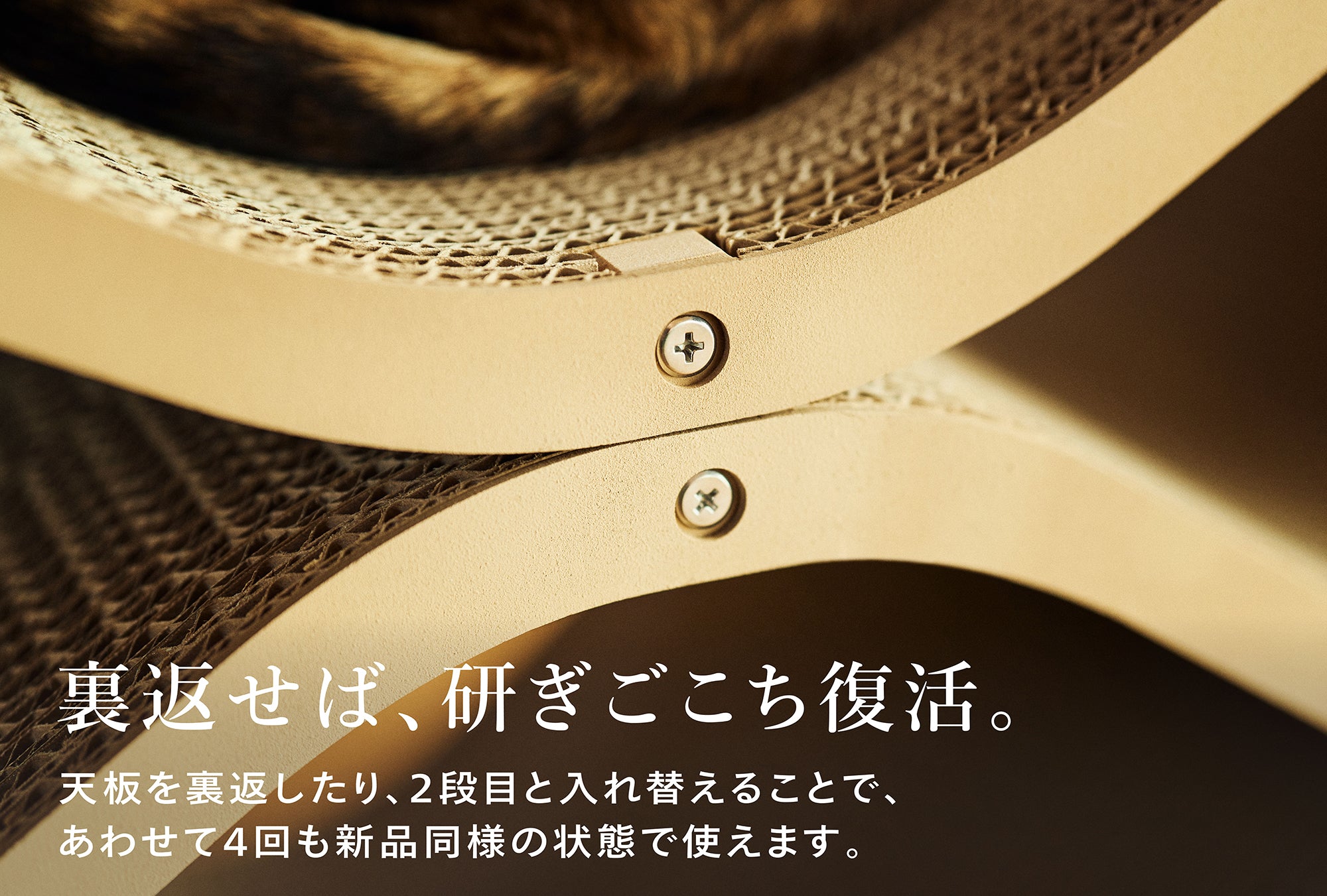 おしゃれなデザイナーズ爪とぎ Cat Cellar(キャットセラー) – furnya