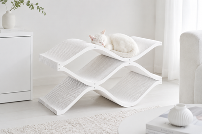 Cat Cellar
