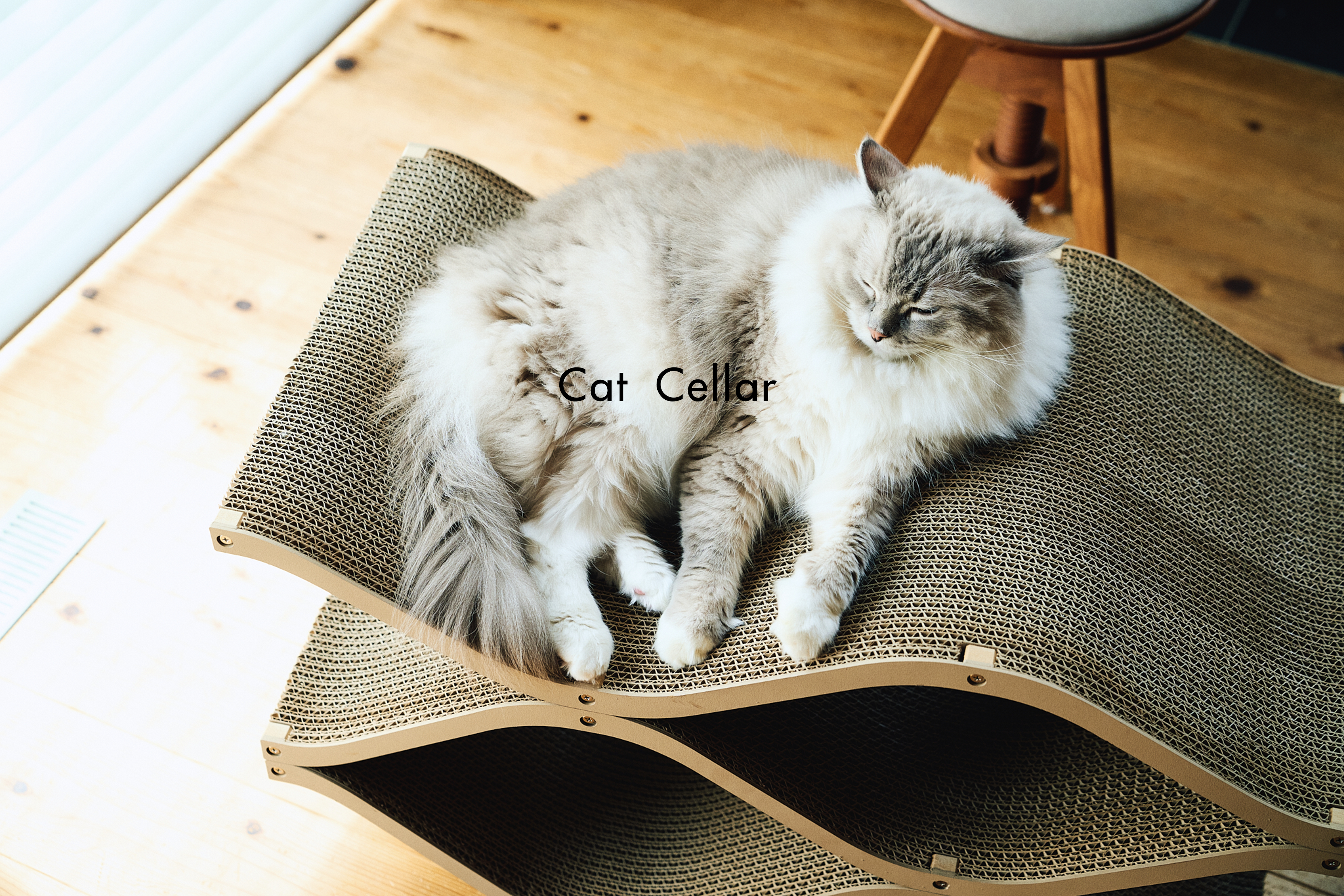 おしゃれなデザイナーズ爪とぎ Cat Cellar(キャットセラー) – furnya おしゃれなデザイナーズ爪とぎ Cat Cellar(キャットセラー) – furnya