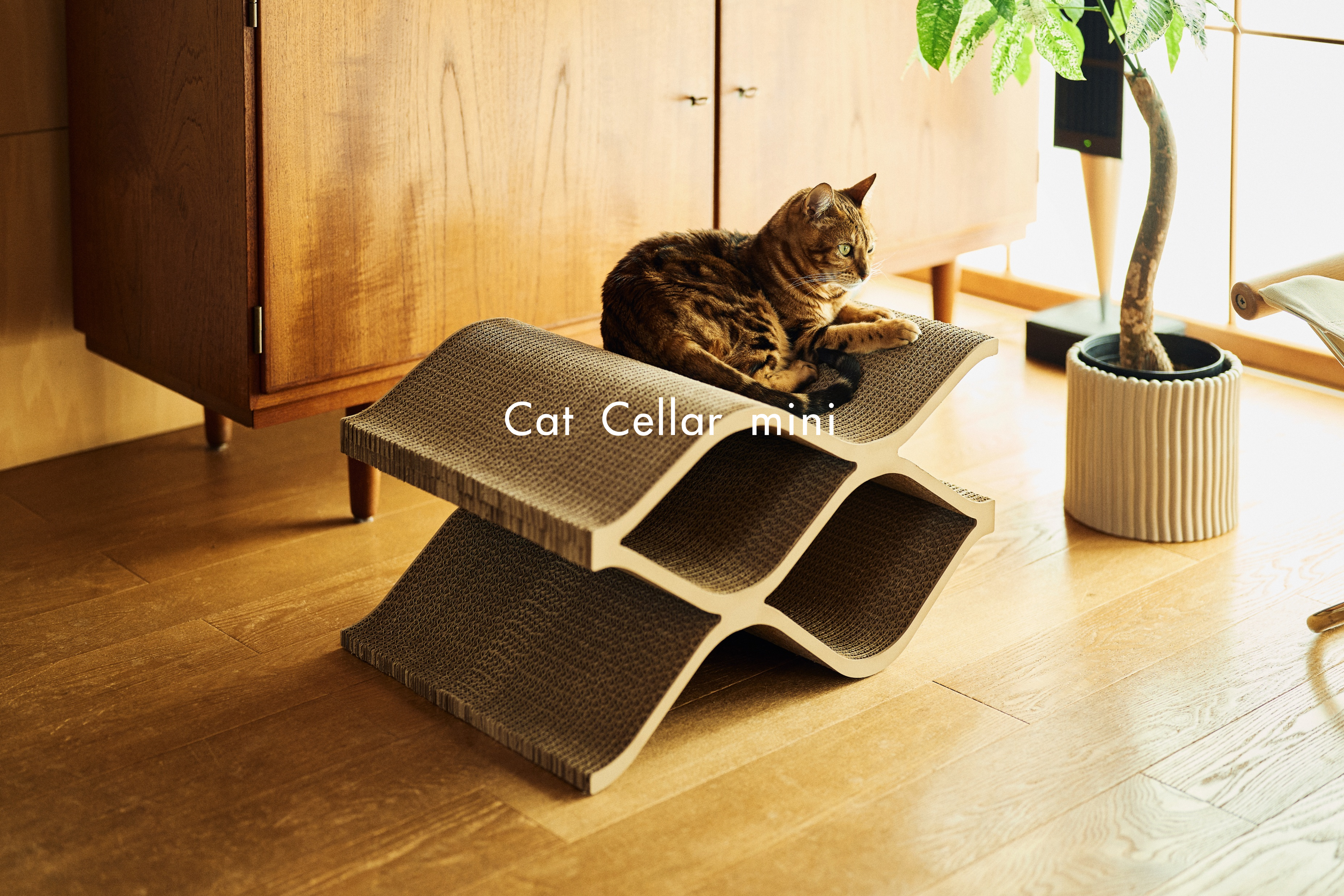 10%off】Cat Cellar & Cat Cellar miniセット – furnya(ファーニャ) 10%off】Cat Cellar & Cat Cellar miniセット – furnya(ファーニャ)
