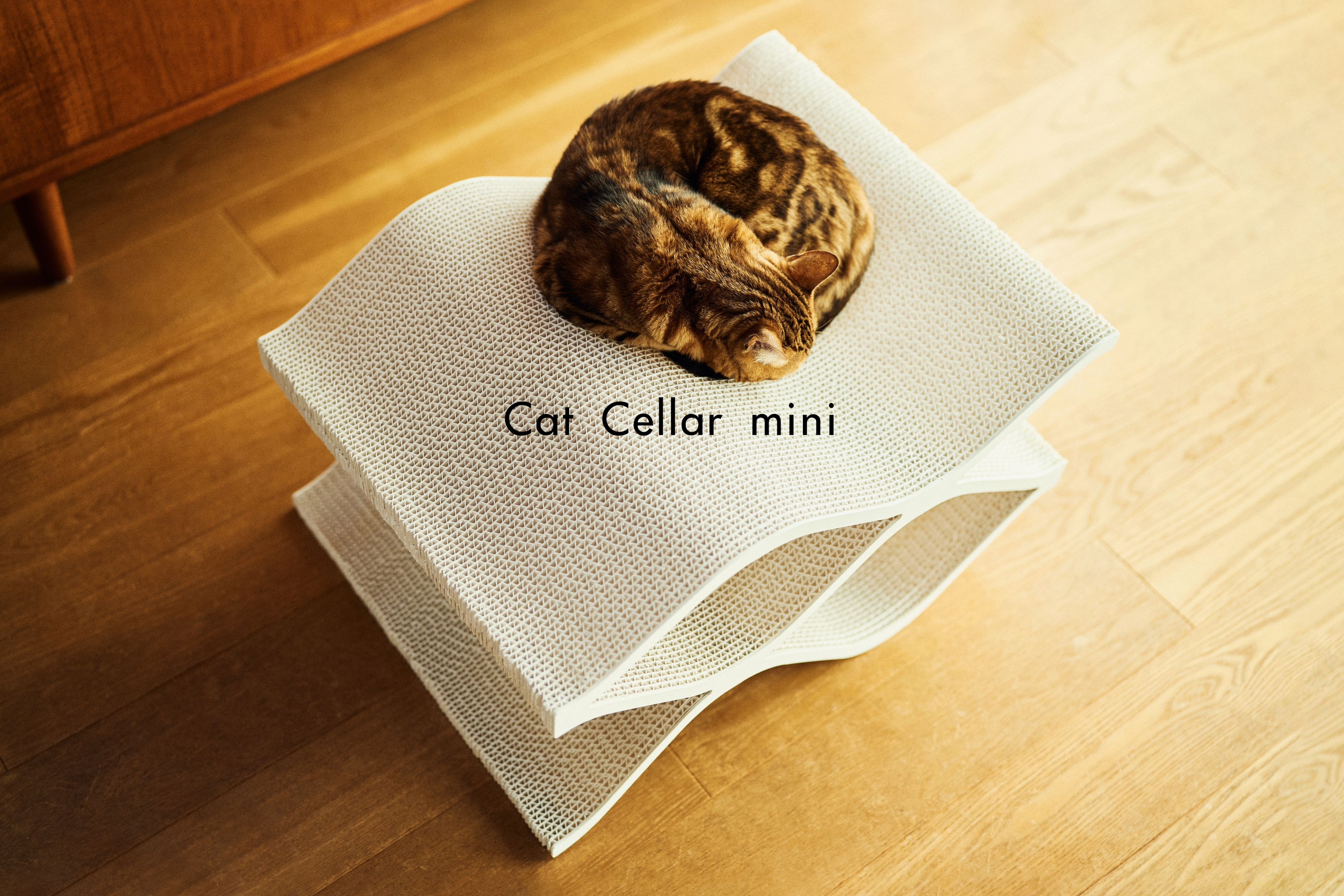 10%off】Cat Cellar & Cat Cellar miniセット – furnya(ファーニャ) 10%off】Cat Cellar & Cat Cellar miniセット – furnya(ファーニャ)