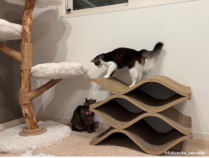 [10%off] Cat Cellar &amp; Cat Cellar mini set