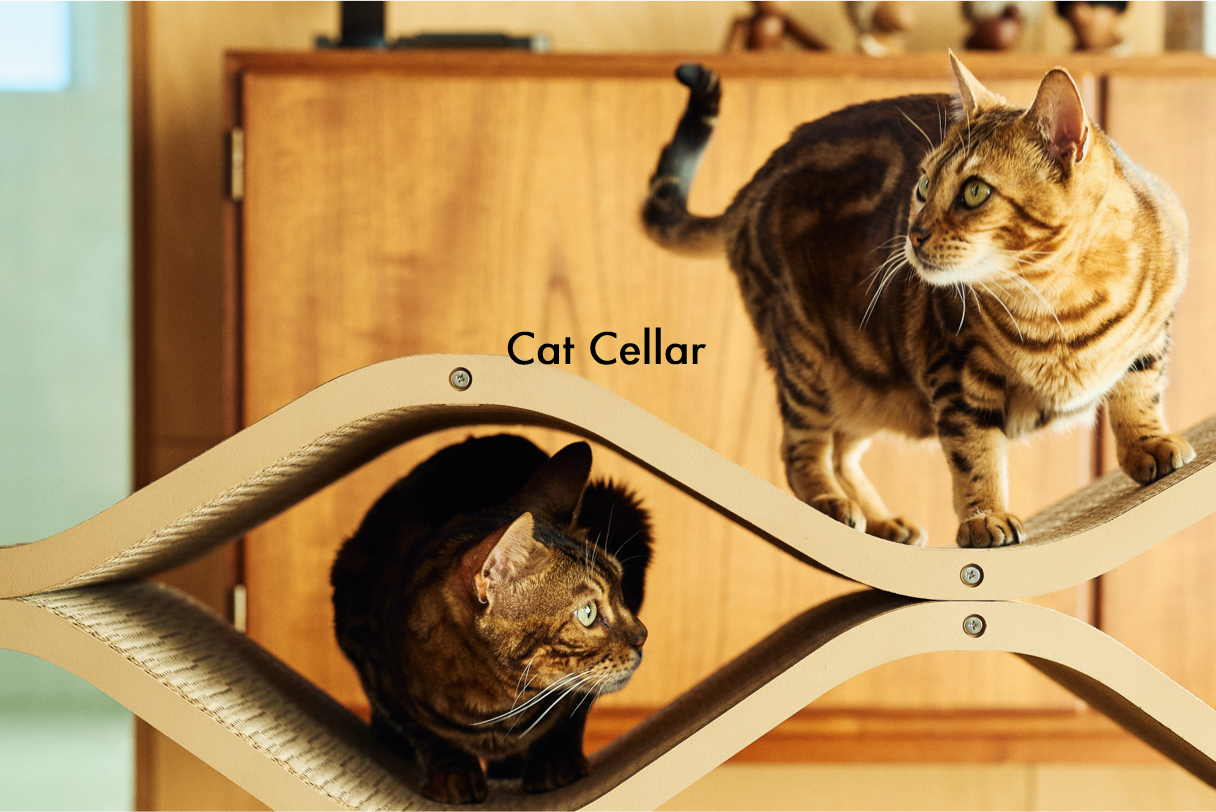 おしゃれな猫用ダンボール爪とぎ・インテリアのfurnya(ファーニャ) おしゃれな猫用ダンボール爪とぎ・インテリアのfurnya(ファーニャ)