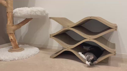 [10%off] Cat Cellar &amp; Cat Cellar mini set