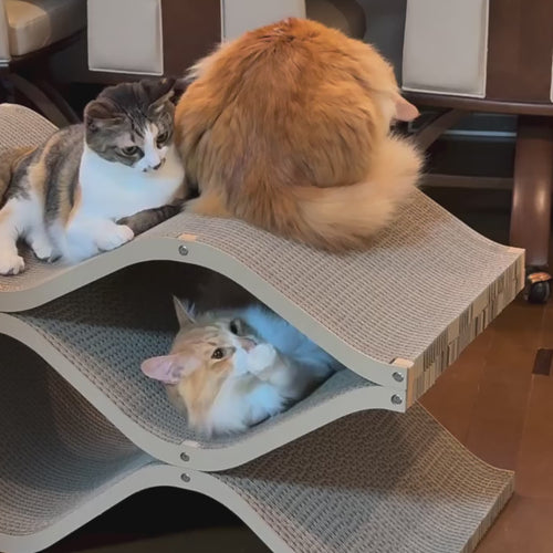 おしゃれなデザイナーズ爪とぎ Cat Cellar(キャットセラー) – furnya